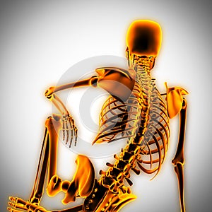 Human radiography scan with glowing bones