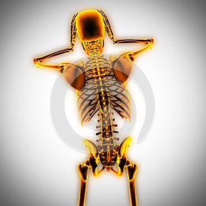 Human radiography scan with glowing bones