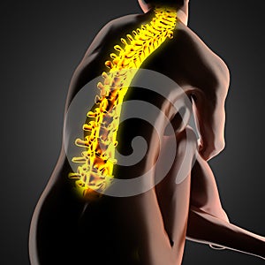 Human radiography scan with glowing bones