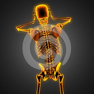 Human radiography scan with glowing bones