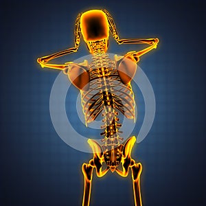 Human radiography scan with glowing bones