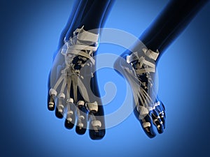 Human radiography scan of legs