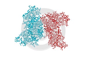 Human receptor-interacting protein kinase 1 domain in complex with inhibitor. Molecular model. 3d illustration