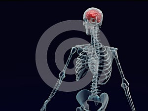 Human red brain X ray in black background