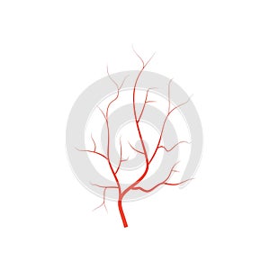 Human red eye veins, anatomy blood vessel arteries illustration. Vector medical eyeball vein arteries system map. Veins in flat