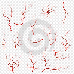 Human red eye veins set, anatomy blood vessel arteries illustration group. Vector medical eyeball vein arteries system