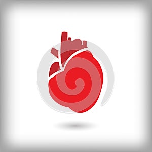 Human red heart icon. Vector