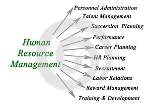 Human Resource Management