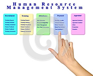 Human Resource Management System