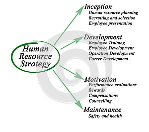 Human Resource Strategy