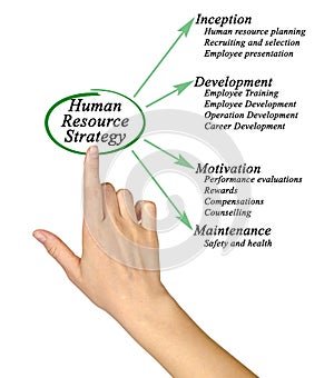 Human Resource Strategy