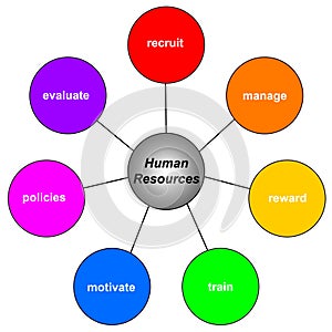 Human resources