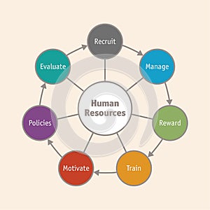 Human Resources cycle