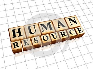 Human resources in golden cubes