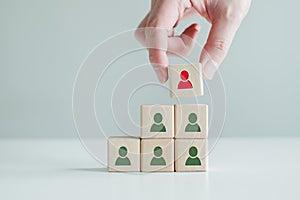 Recruiter complete team by one leader person, professional staff research, hand hold red people icon on cube.