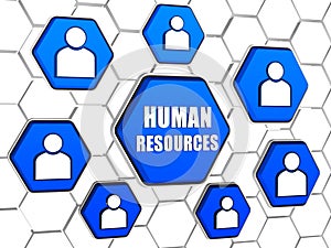 Human resources and person signs in blue hexagons