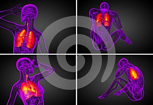 Human respiratory syste