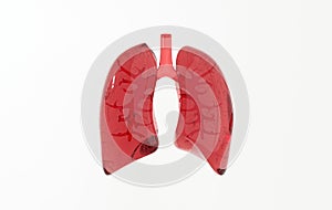 Human respiratory system anatomy concept. Healthy lungs. World Tuberculosis day, lung cancer day. 3d rendering