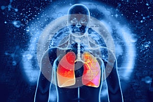 Human Respiratory System