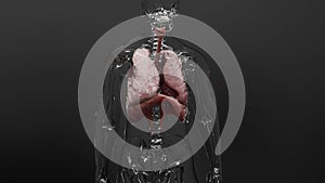 Human Respiratory System Lungs Anatomy Animation Concept. visible lung, pulmonary ventilation, breathing man