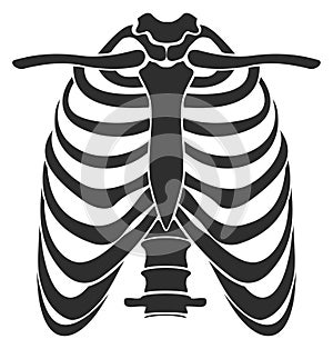 Human rib cage silhouette. Upper body skeleton