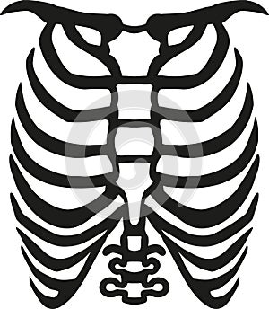 Human ribcage body