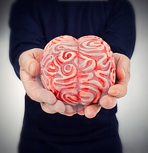 Human rubber brain between the hands