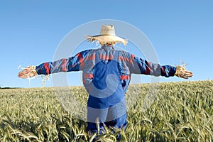 Human scarecrow