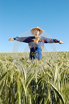 Human scarecrow