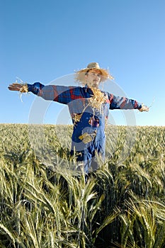 Human scarecrow