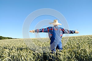 Human scarecrow