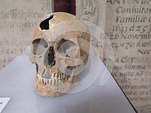 Human Scull in Church