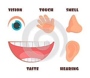 Human senses cartoon vector icons with eye, nose, ear, hand, and mouth symbols