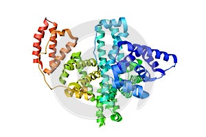 Human serum albumin complexed with hexadecanoic acid. Ribbons diagram. Rainbow coloring from N to C. 3d illustration photo