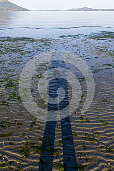 Human Shadow and Coastal Shoreline