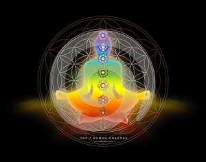 Human silhouette in yoga / lotus pose with 7 Chakras and Flower of Life. Human energy body, aura, yoga lotus pose.