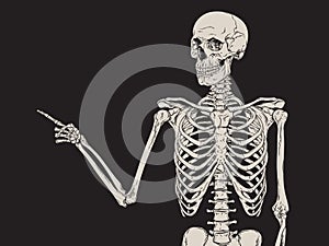 Human skeleton finger pointing isolated over black background vector