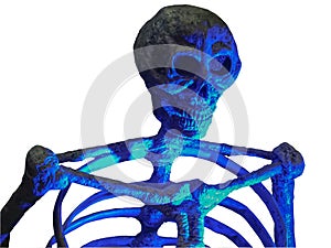 A human skeleton in neon light isolated on a white background. Halloween, decoration and horror concept