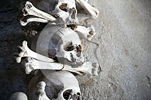 Human skeleton parts lie still and quiet