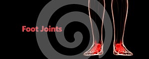 Human Skeleton System Foot Bone Pains Anatomy