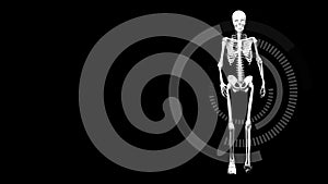 Human skeleton walking against radiance