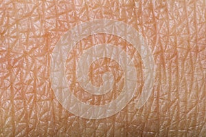 Human skin