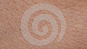 Human skin. Close up. Hand skin texture. Arm surface macro shooting. Body and healthcare, hygiene and medicine concept.