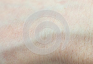 Human skin with hairs texture background. Macro photo, close up. Soft focus