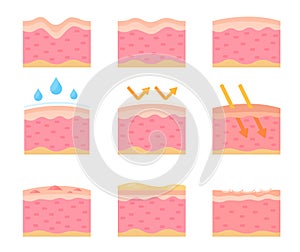 human skin layer Caring for protecting the skin from the sun with a skin serum