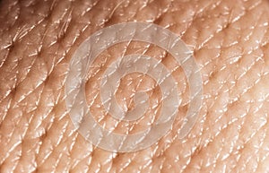 Human skin macro