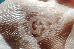 Human skin macro. The inside of a human hand. Dermatology concept, healthy skin texture background