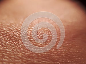 Human skin. Macro photo.