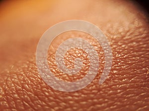 Human skin. Macro photo.