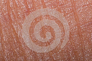 Human skin taken with macro lens, Texture isolated close-up, skin photo for biology